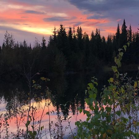Alaska Log Cabins On The Pond Clear Creek Park 외부 사진